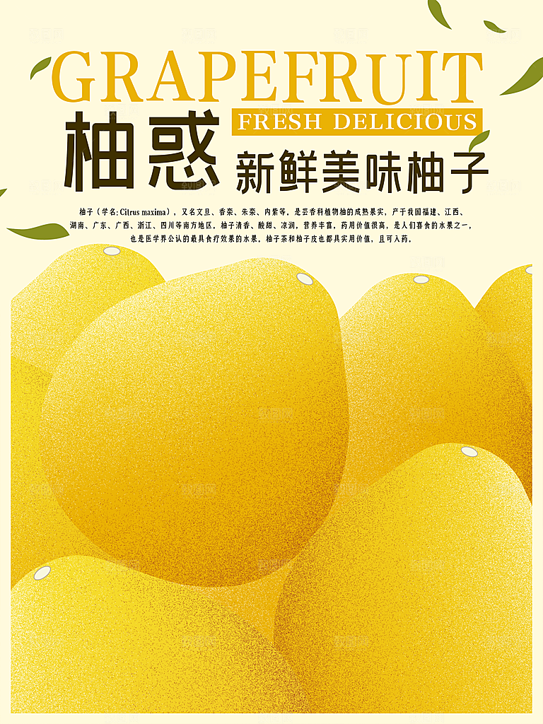新鲜美味柚子海报