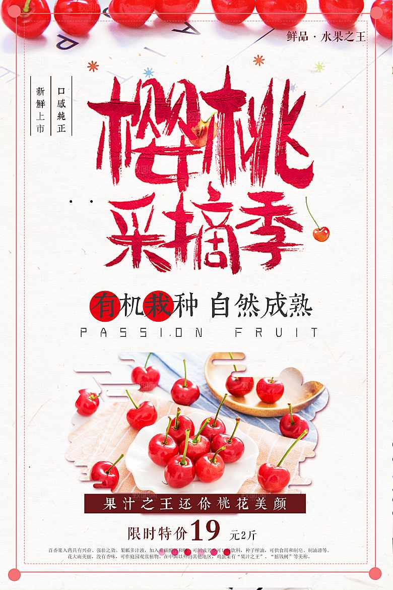 天然有机樱桃采摘季