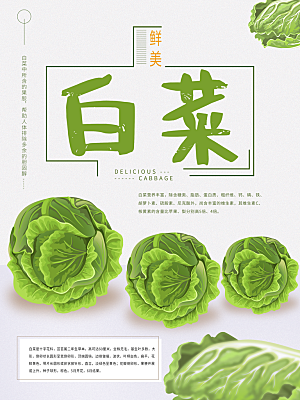 新鲜蔬菜白菜海报