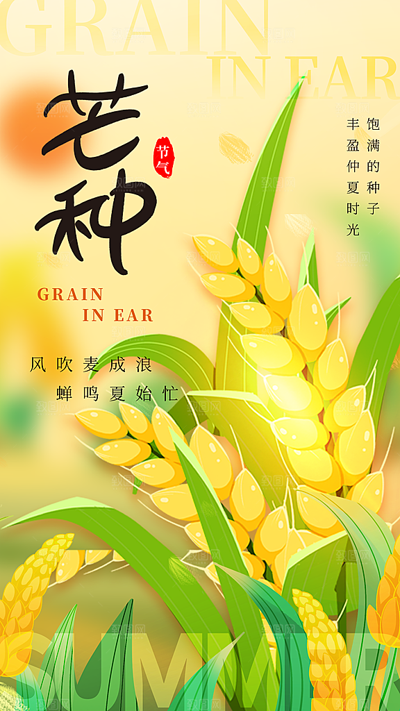 插画风芒种节气全屏海报