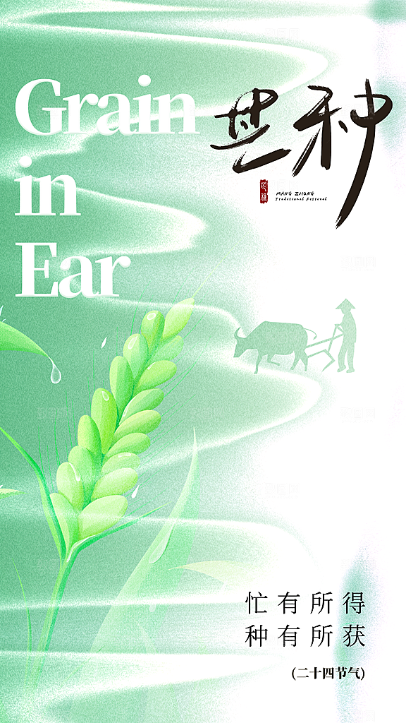 二十四节气芒种全屏海报