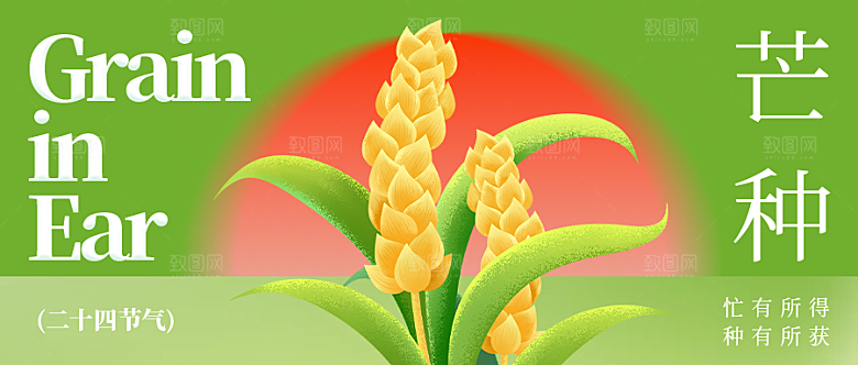 二十四节气芒种微信公众号封面