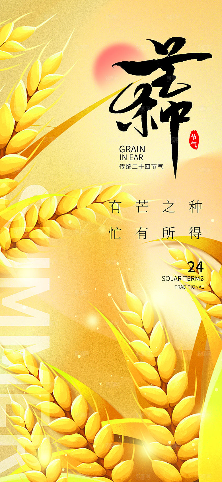 简约大气芒种节气长屏海报