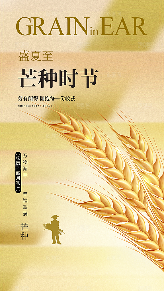 简约二十四节气芒种节气全屏海报