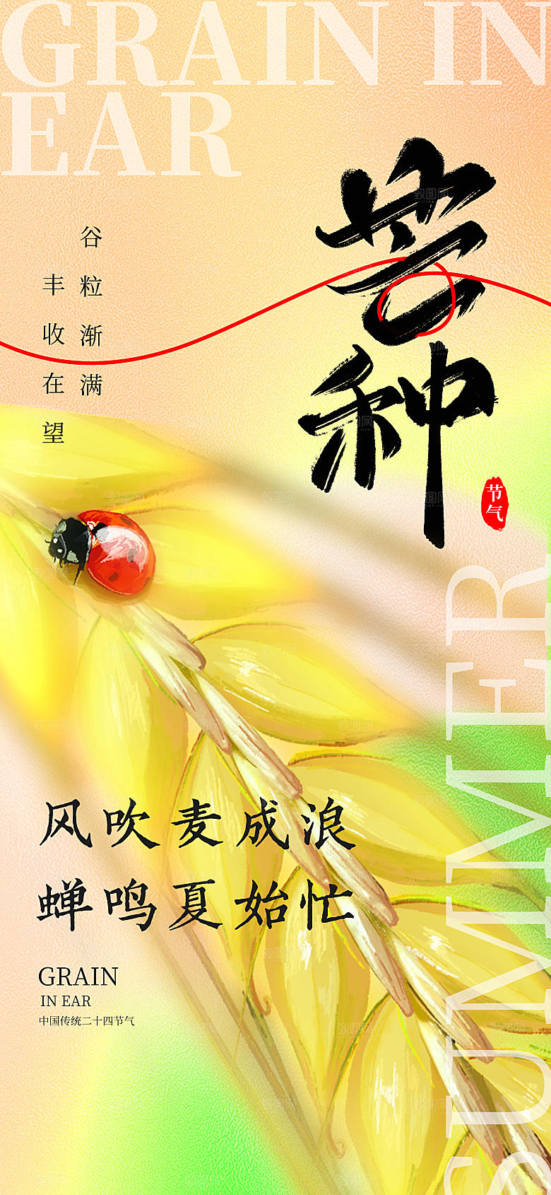 简约芒种节气长屏海报