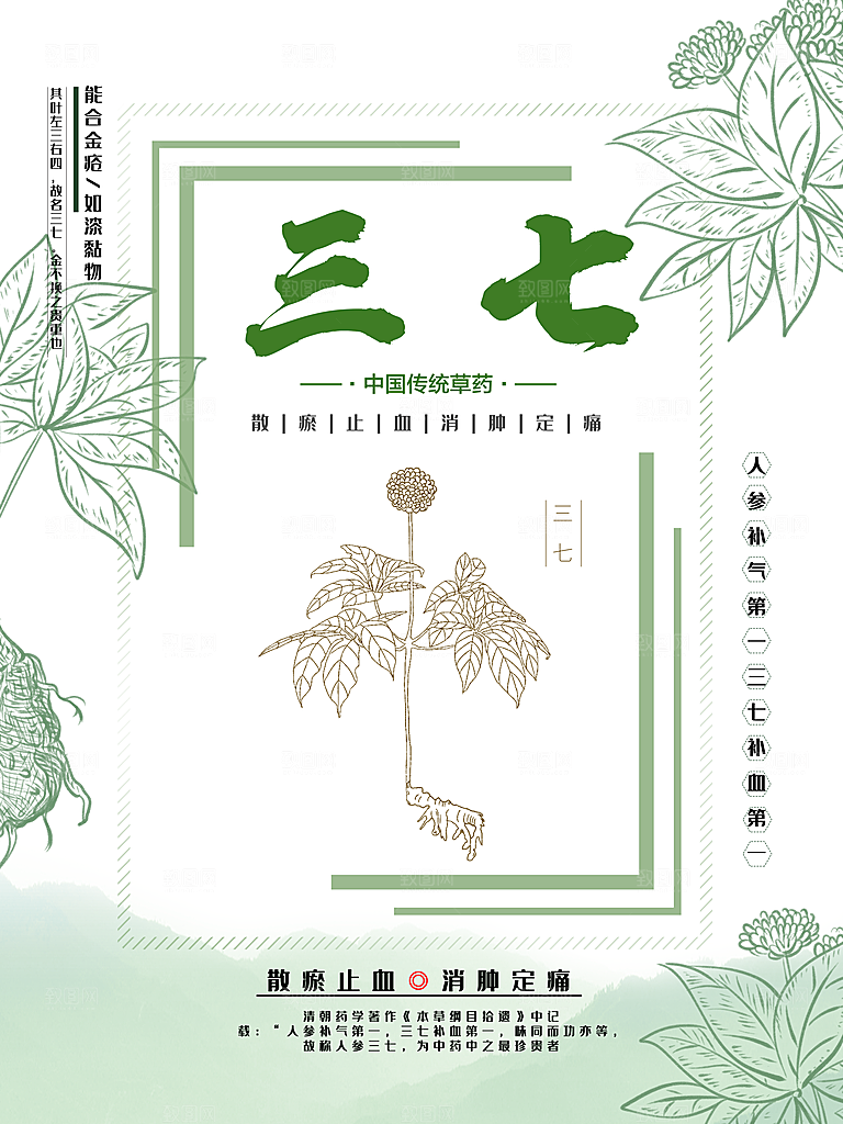 中国传统草药三七