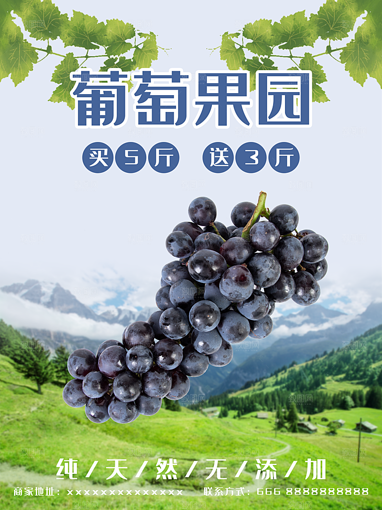 新鲜水果葡萄果园