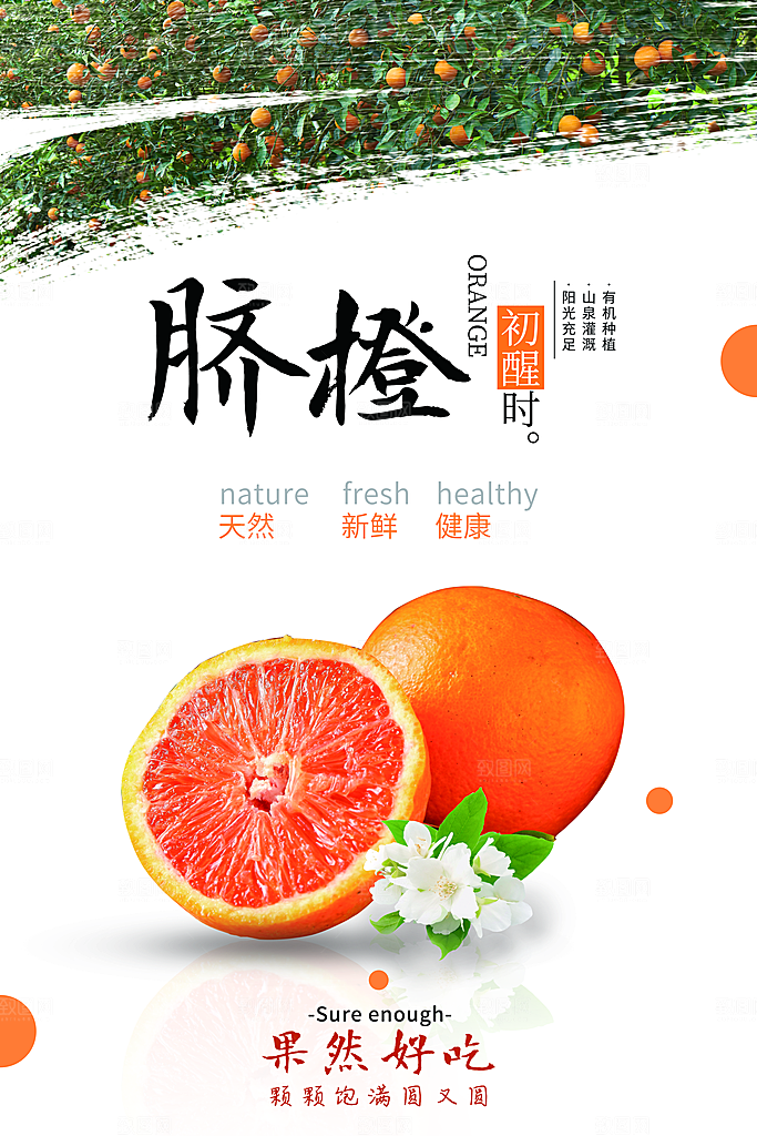 天然新鲜脐橙海报