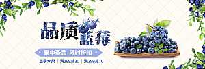 新鲜蓝莓淘宝海报