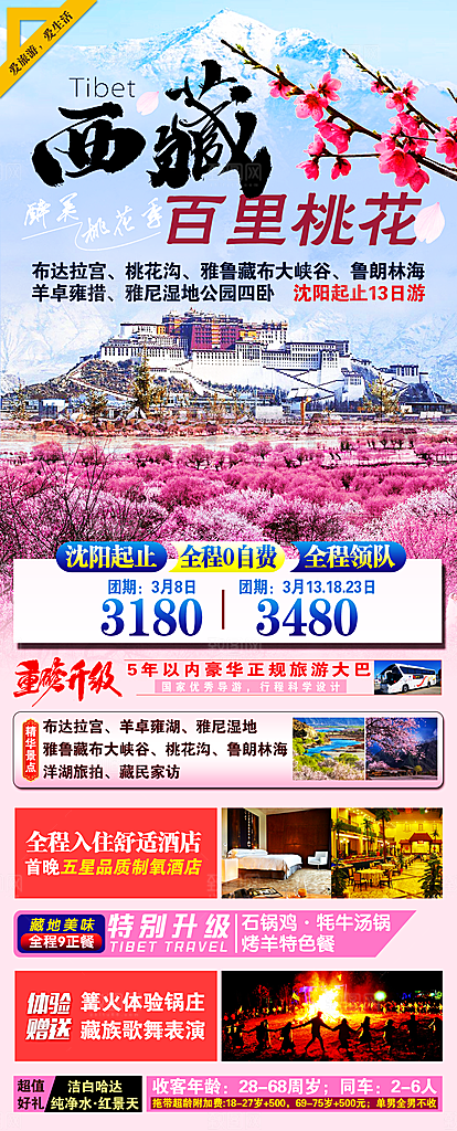 西藏青藏拉萨川藏林海珠穆旅游海报