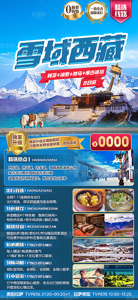 青藏拉萨西藏珠穆川藏旅游海报