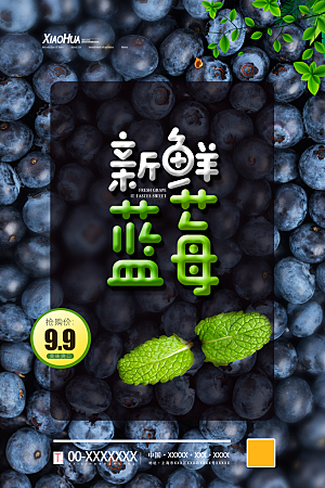 蓝莓水果宣传海报设计素材