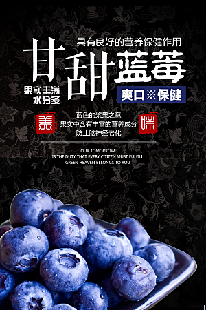 蓝莓水果海报展板设计素材