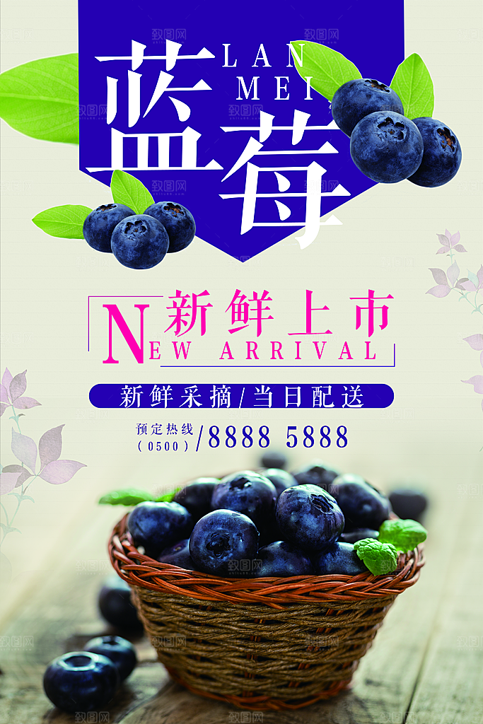 蓝莓水果海报展板设计素材