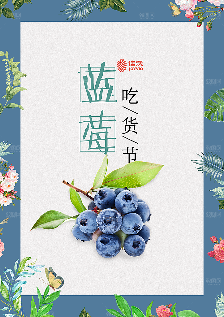 蓝莓水果海报展板设计素材