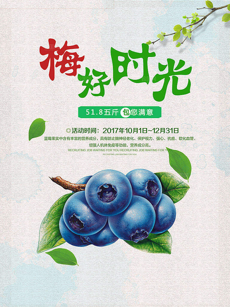 蓝莓水果海报展板设计素材