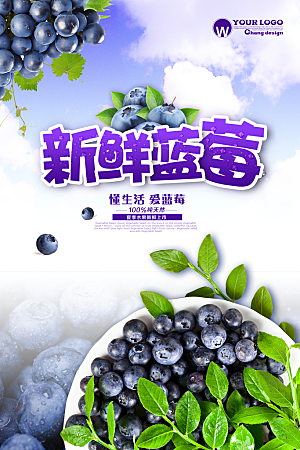 蓝莓水果海报展板设计素材