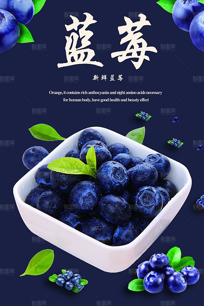 蓝莓水果海报展板设计素材