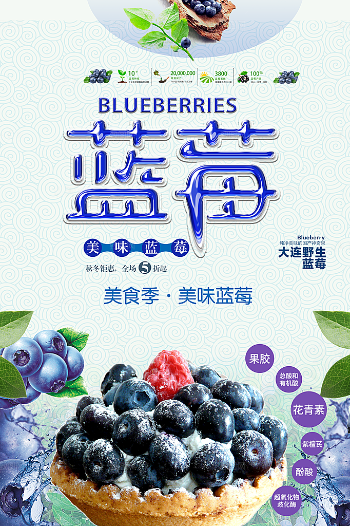 蓝莓水果宣传海报设计素材