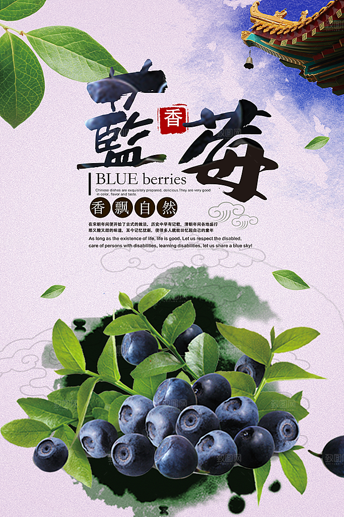 蓝莓水果宣传海报设计