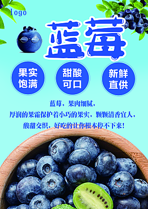 蓝莓水果宣传海报设计