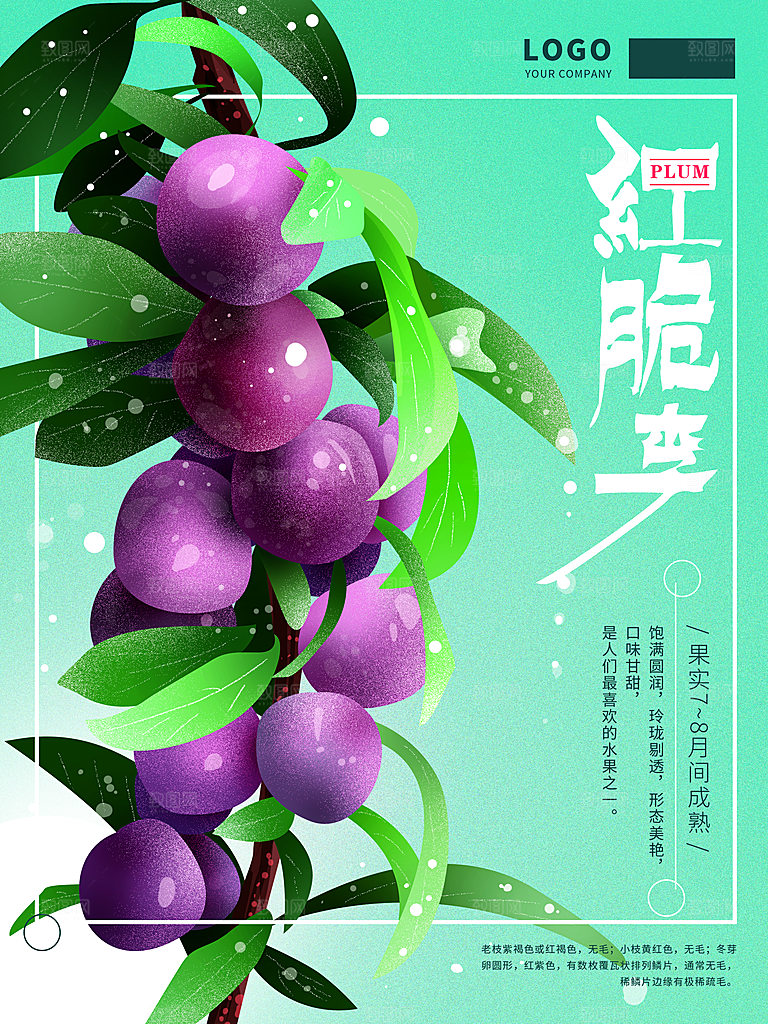 李子宣传海报设计