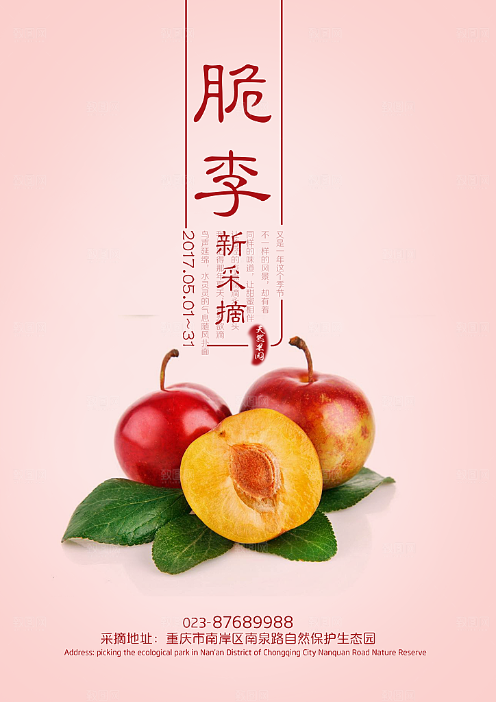 李子宣传海报设计