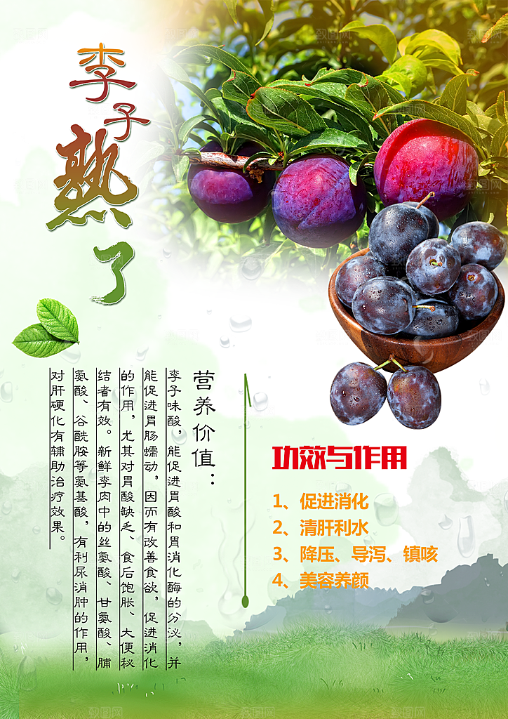 李子宣传海报设计