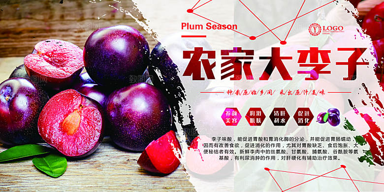 李子宣传海报设计