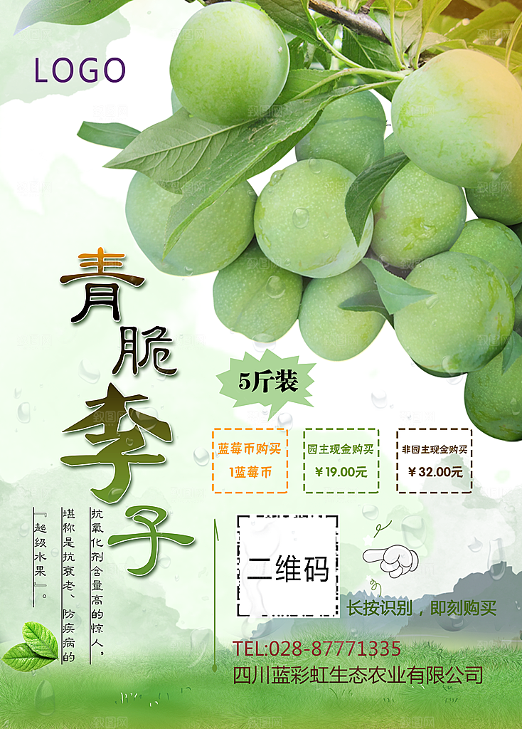 李子宣传海报设计