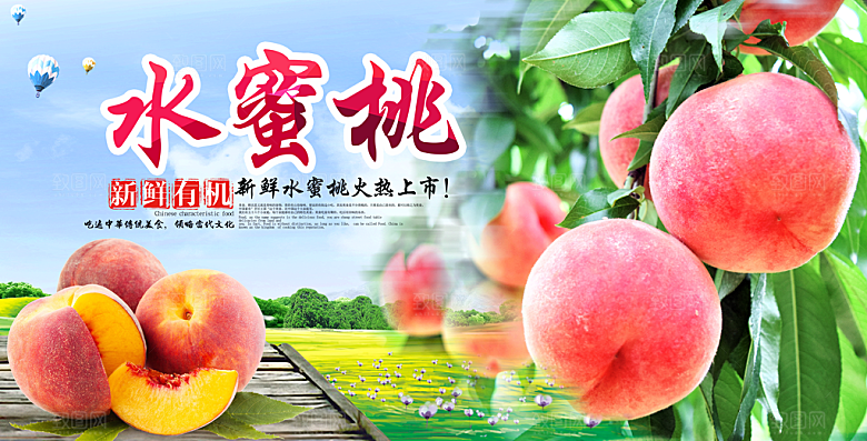 水蜜桃宣传海报展板设计素材