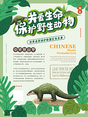 绿色保护野生动物宣传海报