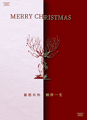 圣诞节圣诞老人平安夜节日宣传活动
