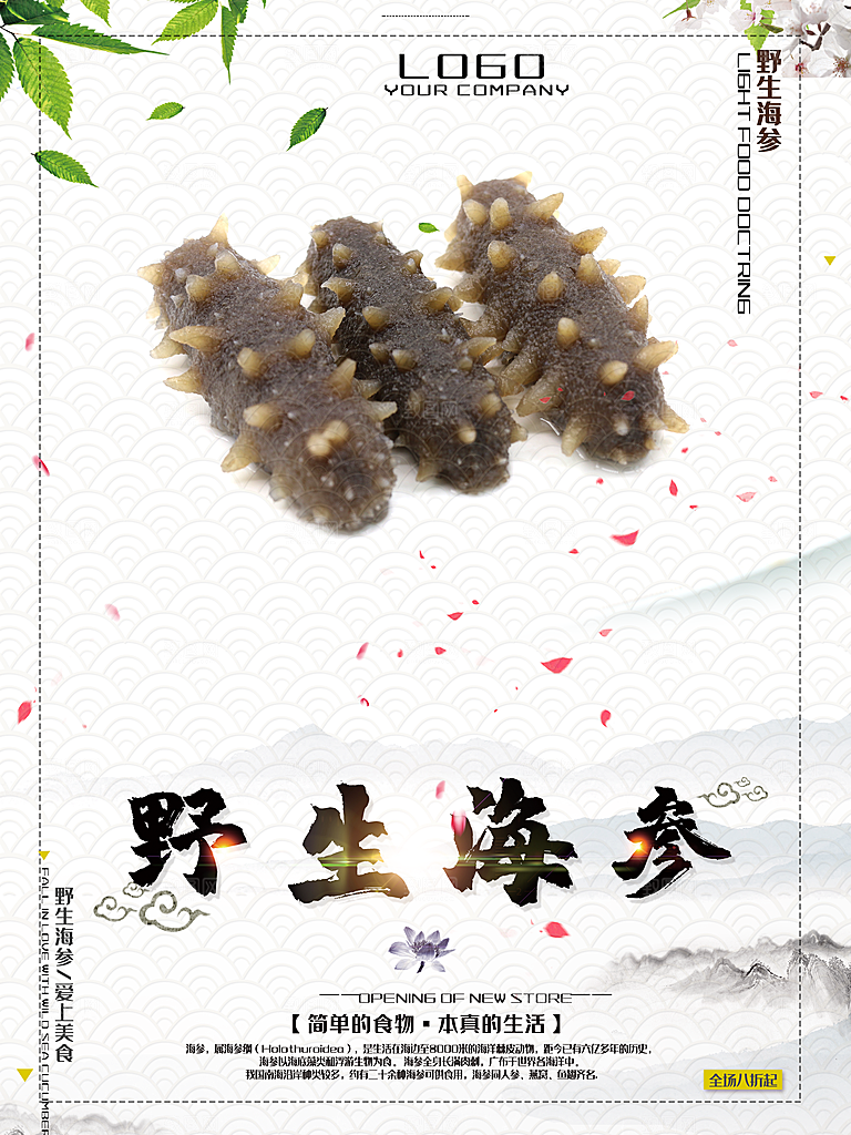 美味珍品野生海参