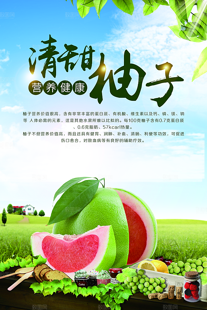 柚子宣传海报设计素材