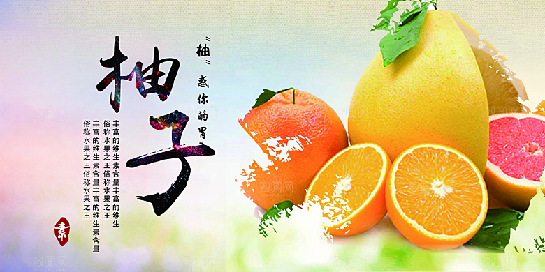 柚子宣传展板设计素材