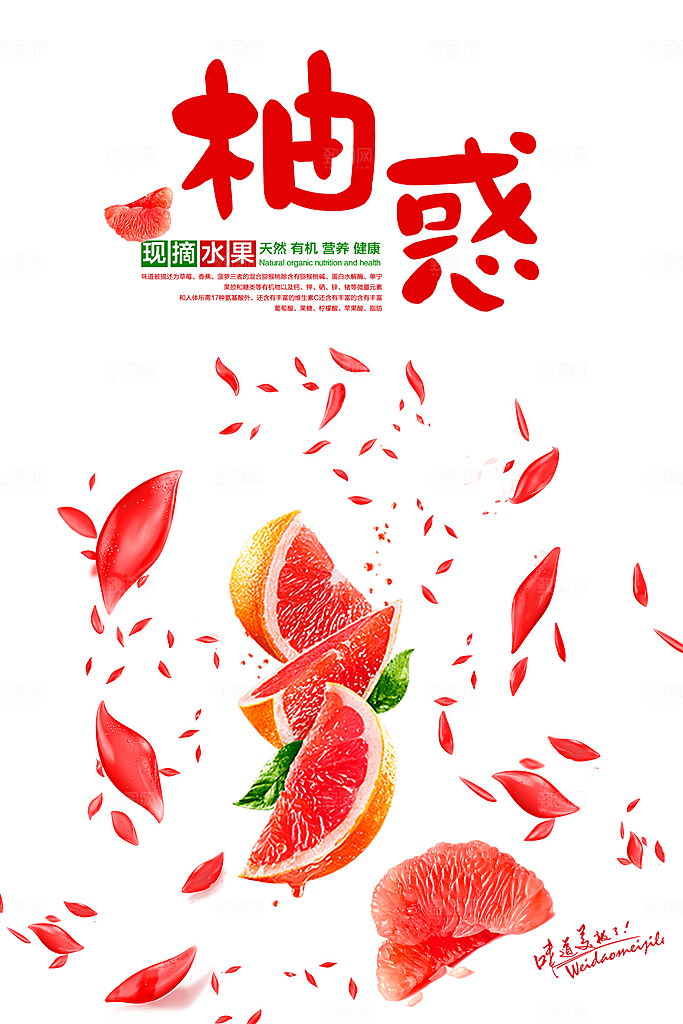柚子宣传海报设计素材