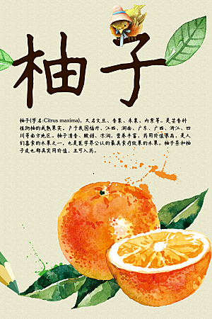 柚子宣传海报设计素材