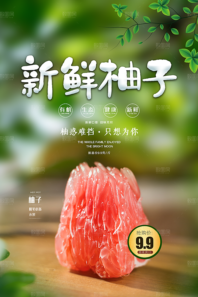 柚子宣传海报设计素材