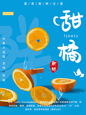 新鲜水果甜橘子海报