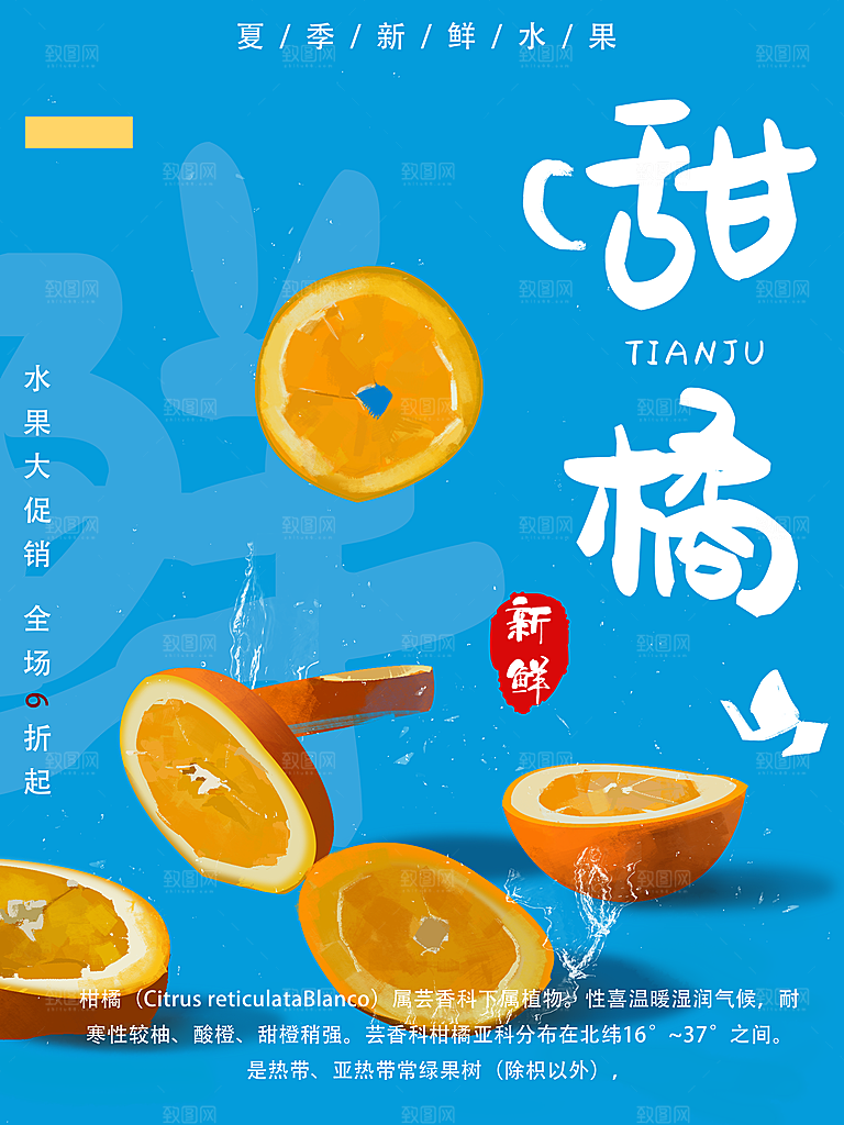 新鲜水果甜橘子海报