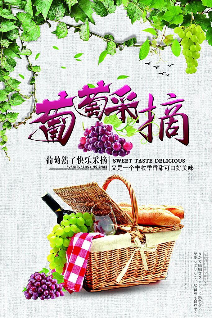 葡萄宣传海报设计素材