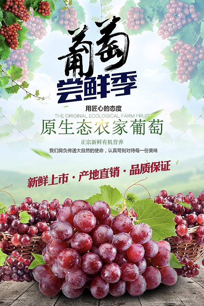 葡萄宣传海报设计素材