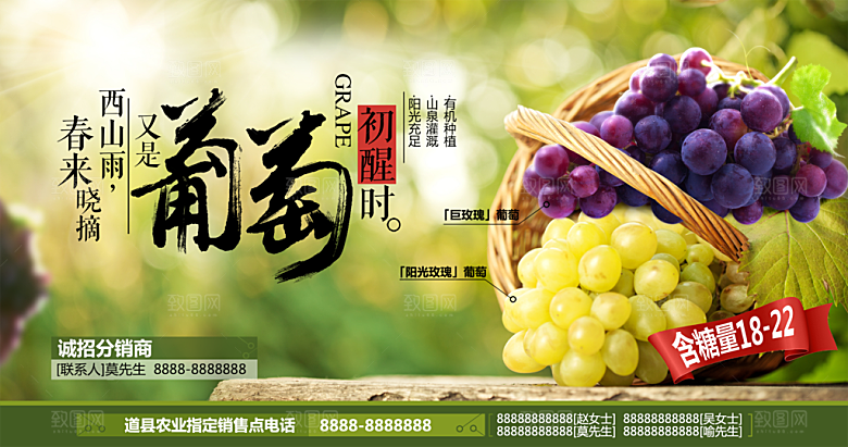 葡萄展板宣传设计素材