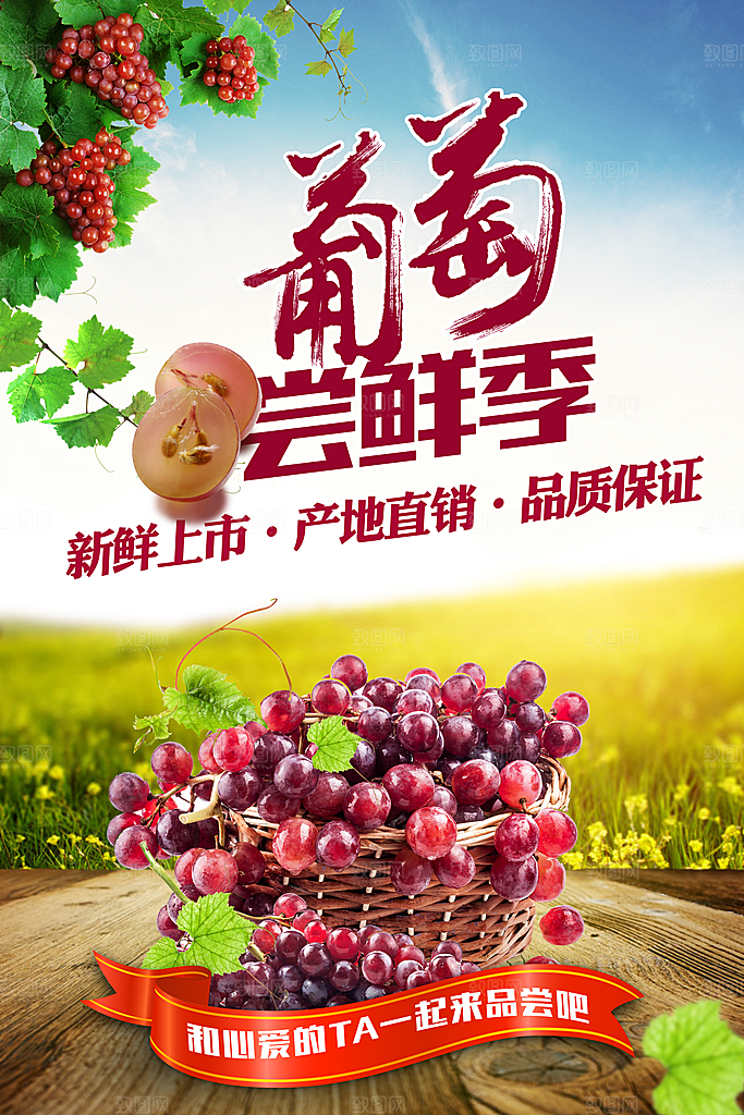 葡萄宣传海报设计素材