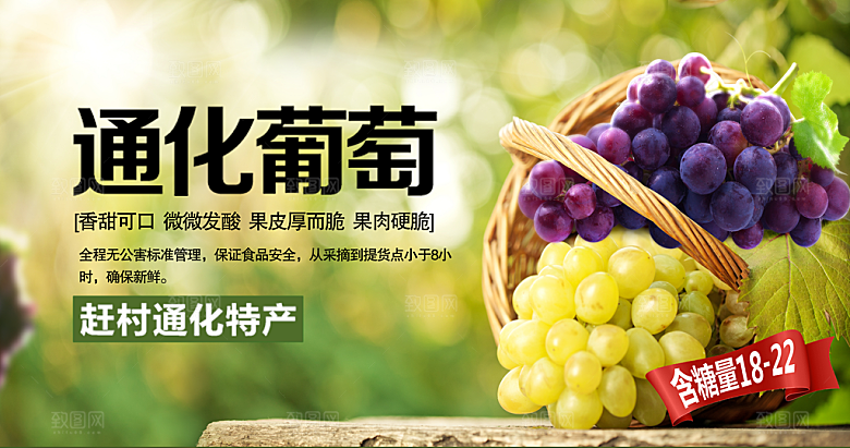 葡萄展板宣传设计素材