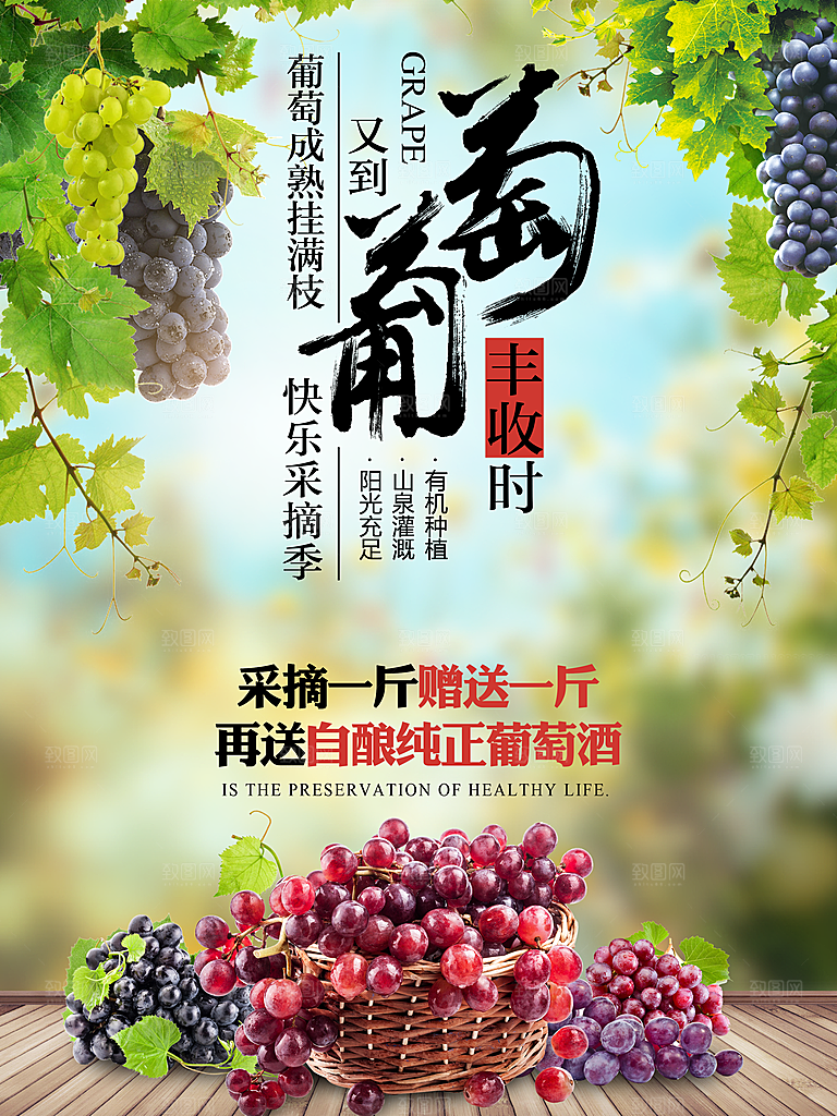 葡萄宣传海报促销展板