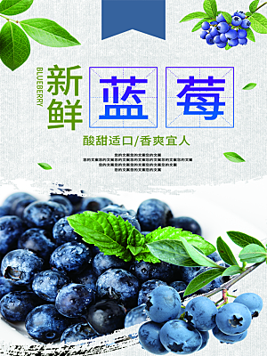 闲鱼水果蓝莓海报