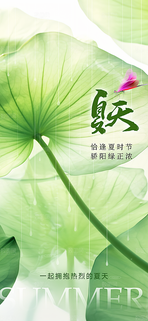 夏至24节气海报模板PSD设计素材