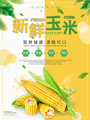 新鲜玉米创意宣传海报